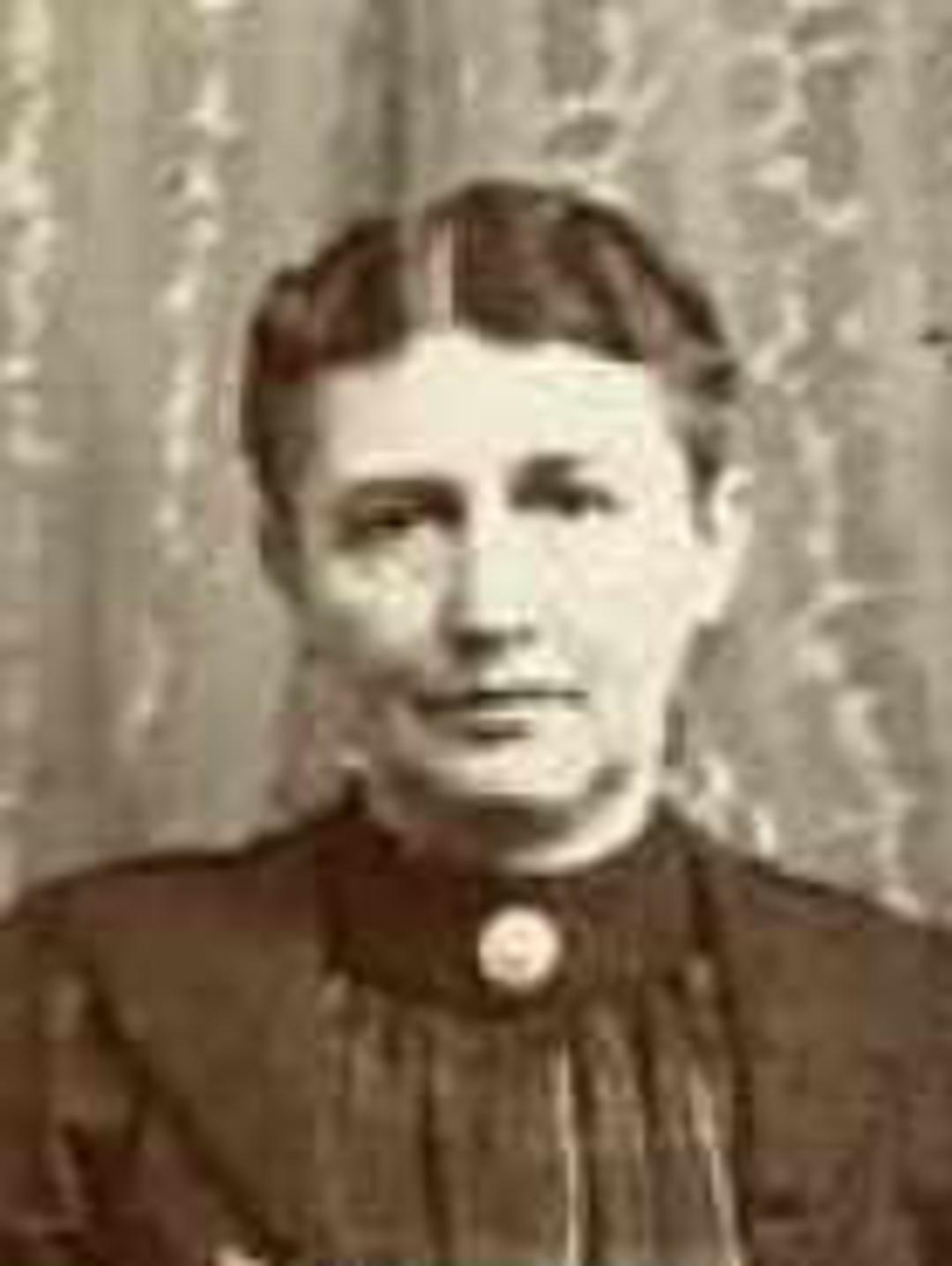 Susannah Catherine Heiner (1852 - 1923) Profile
